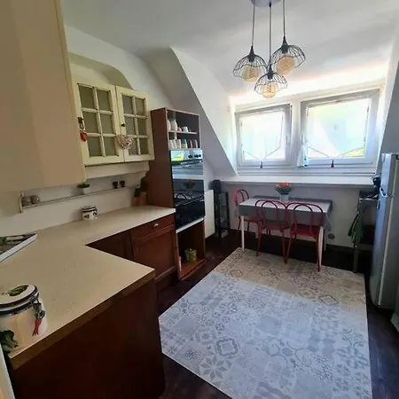 Apartament Centre Terrasse Jardin Garage Chez Priscilla