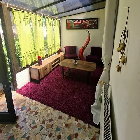 公寓 Centre Terrasse Jardin Garage Chez Priscilla 欧里亚克