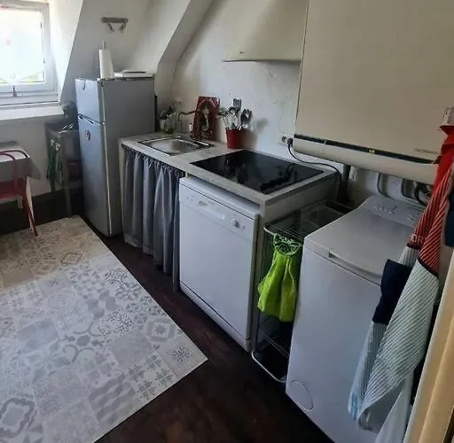 Centre Terrasse Jardin Garage Chez Priscilla Lägenhet