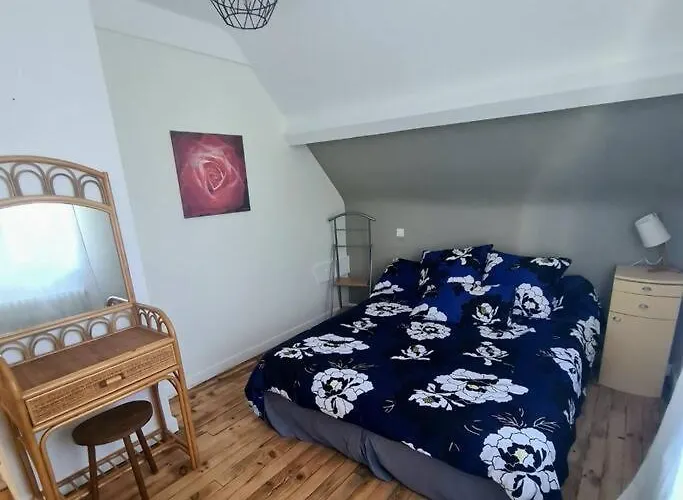 Centre Terrasse Jardin Garage Chez Priscilla * Aurillac